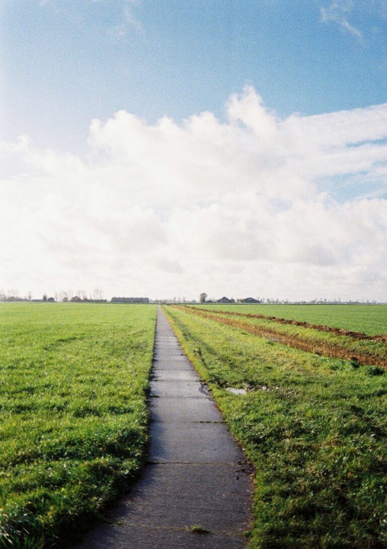 Ciclovía rural al norte de Groningen