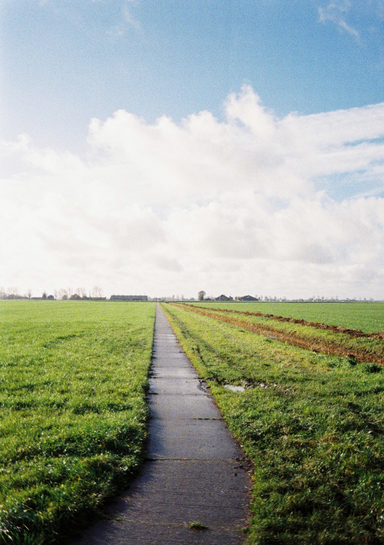 Ciclovía rural al norte de Groningen